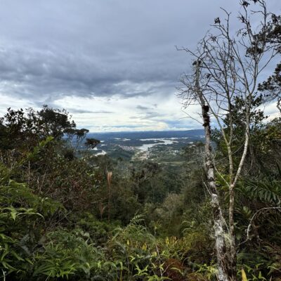 Alternative view of Trekking por los Bosques de Guatapé