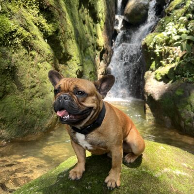 Alternative view of Trekking las 7 Cascadas Guatapé