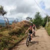 Mountain Bike Tour Downhill