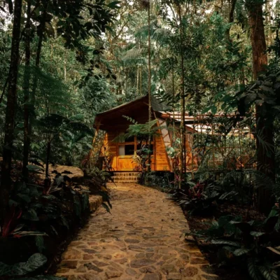 Experiencia VIP de lujo en San Rafael: Dos Días y Una Noche de Magia Natural, Confort y Cultura