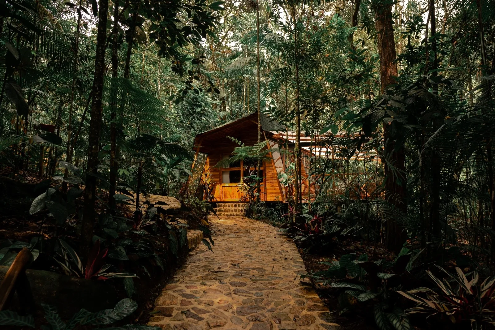 Experiencia VIP de lujo en San Rafael: Dos Días y Una Noche de Magia Natural, Confort y Cultura