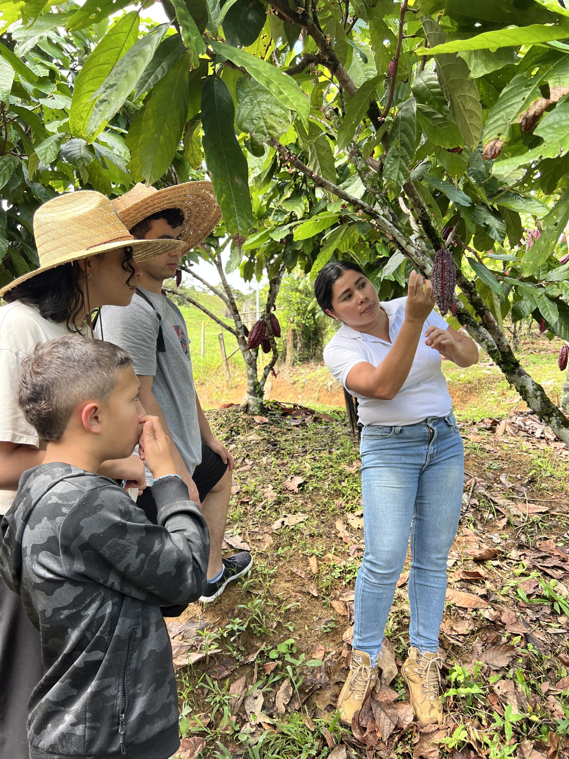 Tour Del Cacao y Chocolate En San Rafael