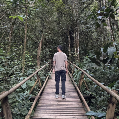 Ritual del chocolate y el agua: Cascadas, ríos, avistamiento de aves y micos en San Rafael