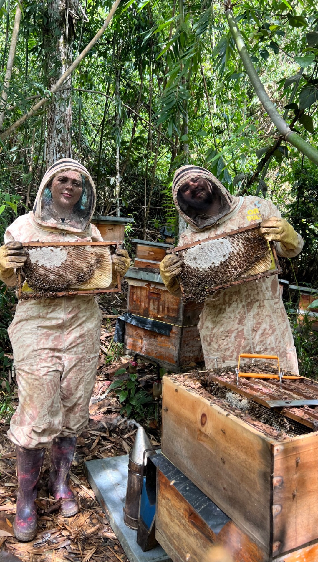 APICULTOR POR UN DÍA En San Rafael: Extrae la miel fresca de las abejas con tus propias manos - Image 3