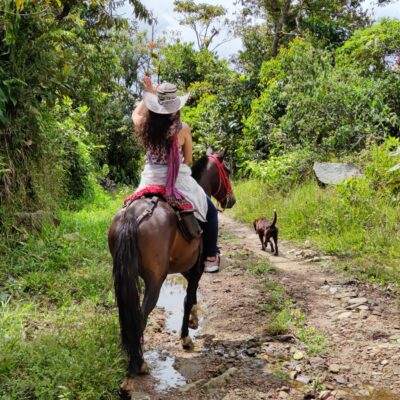 Disfruta de un recorrido a caballo por la hermosas montañas de Guatape