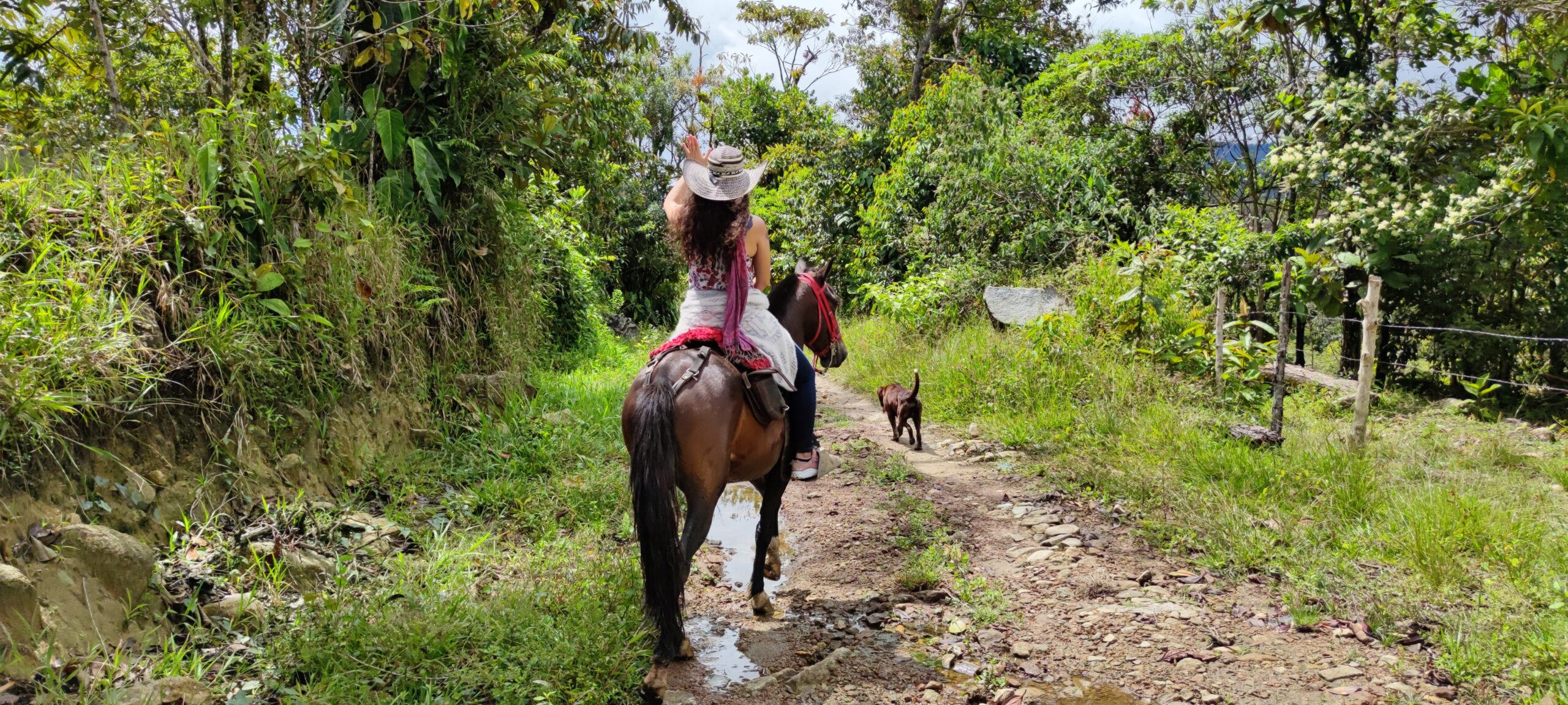 Disfruta de un recorrido a caballo por la hermosas montañas de Guatape